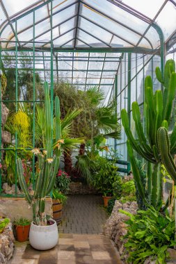 Poland.IMAGE 'deki Ksiaz Kalesi' nin Palm House 'u.