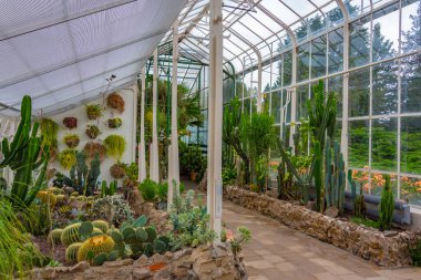 Poland.IMAGE 'deki Ksiaz Kalesi' nin Palm House 'u.
