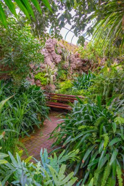 Poland.IMAGE 'deki Ksiaz Kalesi' nin Palm House 'u.