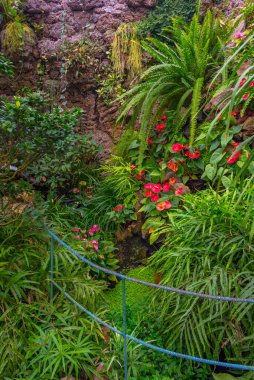 Poland.IMAGE 'deki Ksiaz Kalesi' nin Palm House 'u.