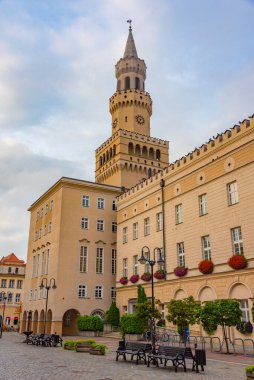 Opole, Poland.IMAGE 'deki belediye binasının panorama manzarası
