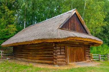 Katowice, Poland.IMAGE 'deki Yukarı Silezya Etnografik Parkı' ndaki tarihi binalar