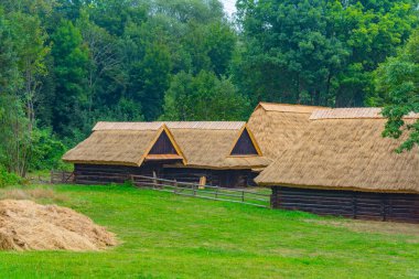 Katowice, Poland.IMAGE 'deki Yukarı Silezya Etnografik Parkı' ndaki tarihi binalar