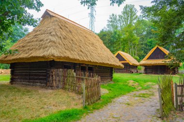 Katowice, Poland.IMAGE 'deki Yukarı Silezya Etnografik Parkı' ndaki tarihi binalar