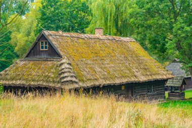 Katowice, Poland.IMAGE 'deki Yukarı Silezya Etnografik Parkı' ndaki tarihi binalar