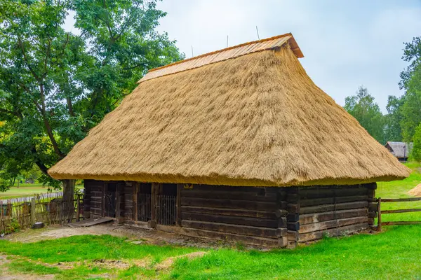 Katowice, Poland.IMAGE 'deki Yukarı Silezya Etnografik Parkı' ndaki tarihi binalar