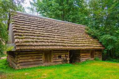 Nowy Sacz, Poland.IMAGE 'deki Sadecki Ethnographic Park' taki tarihi binalar.