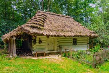 Nowy Sacz, Poland.IMAGE 'deki Sadecki Ethnographic Park' taki tarihi binalar.