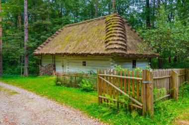 Nowy Sacz, Poland.IMAGE 'deki Sadecki Ethnographic Park' taki tarihi binalar.