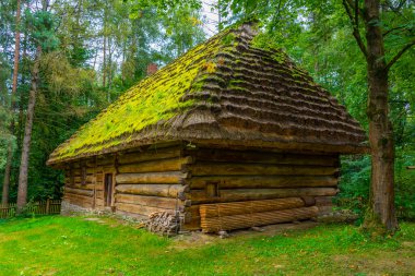 Nowy Sacz, Poland.IMAGE 'deki Sadecki Ethnographic Park' taki tarihi binalar.