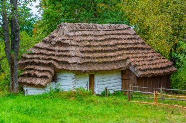 Nowy Sacz, Poland.IMAGE 'deki Sadecki Ethnographic Park' taki tarihi binalar.