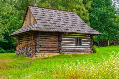 Nowy Sacz, Poland.IMAGE 'deki Sadecki Ethnographic Park' taki tarihi binalar.