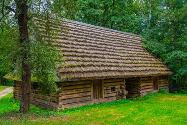 Nowy Sacz, Poland.IMAGE 'deki Sadecki Ethnographic Park' taki tarihi binalar.
