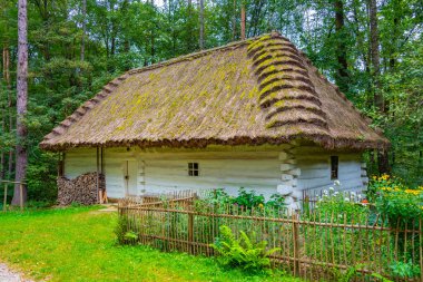 Nowy Sacz, Poland.IMAGE 'deki Sadecki Ethnographic Park' taki tarihi binalar.