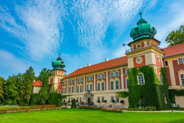 Güneşli bir günde Polonya 'daki Lancut Kalesi.