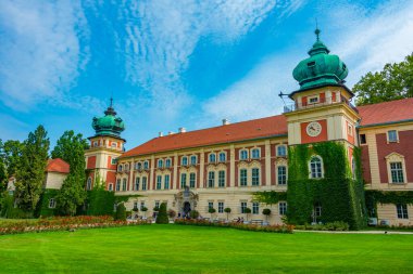 Güneşli bir günde Polonya 'daki Lancut Kalesi.
