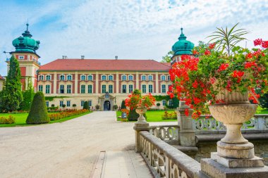 Güneşli bir günde Polonya 'daki Lancut Kalesi.