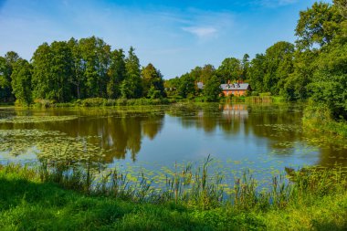 Poland.IMAGE 'deki Bialowieza kasabasında.