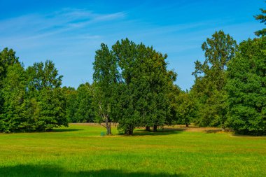 Poland.IMAGE 'deki Bialowieza Ulusal Parkı' ndaki Meadow