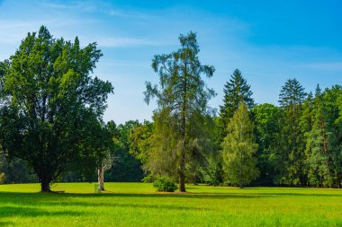 Poland.IMAGE 'deki Bialowieza Ulusal Parkı' ndaki Meadow