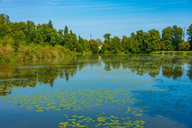 Poland.IMAGE 'deki Bialowieza kasabasında.