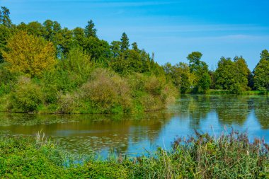 Poland.IMAGE 'deki Bialowieza kasabasında.