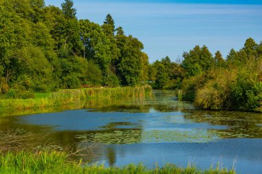 Poland.IMAGE 'deki Bialowieza kasabasında.