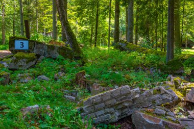 Polonya 'daki İkinci Dünya Savaşı sırasında Adolf Hitler' in kullandığı kurt sığınaklarının kalıntıları.