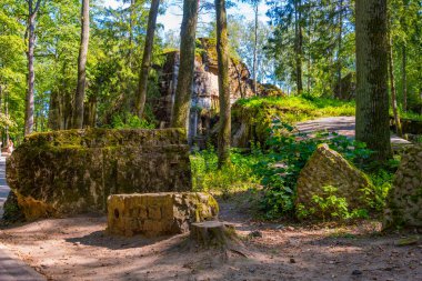 Polonya 'daki İkinci Dünya Savaşı sırasında Adolf Hitler' in kullandığı kurt sığınaklarının kalıntıları.