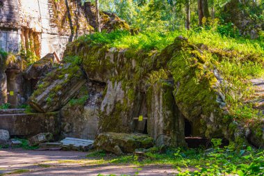 Polonya 'daki İkinci Dünya Savaşı sırasında Adolf Hitler' in kullandığı kurt sığınaklarının kalıntıları.