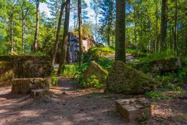 Polonya 'daki İkinci Dünya Savaşı sırasında Adolf Hitler' in kullandığı kurt sığınaklarının kalıntıları.