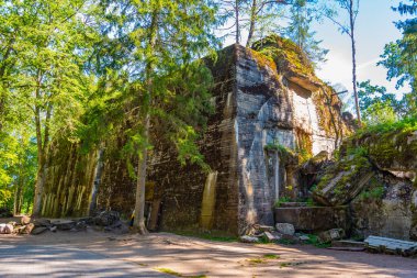 Polonya 'daki İkinci Dünya Savaşı sırasında Adolf Hitler' in kullandığı kurt sığınaklarının kalıntıları.