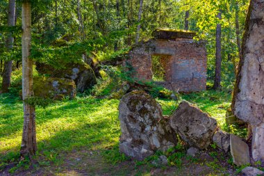 Polonya 'daki İkinci Dünya Savaşı sırasında Adolf Hitler' in kullandığı kurt sığınaklarının kalıntıları.