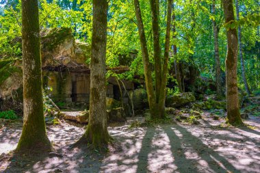 Polonya 'daki İkinci Dünya Savaşı sırasında Adolf Hitler' in kullandığı kurt sığınaklarının kalıntıları.