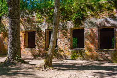 Polonya 'daki İkinci Dünya Savaşı sırasında Adolf Hitler' in kullandığı kurt sığınaklarının kalıntıları.