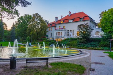 Olsztyn, Poland.IMAGE 'deki Balık ve Çocuk Çeşmesi