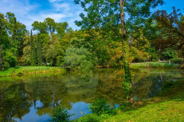 Varşova, Poland.IMAGE 'deki Lazienki Parkı' nda göl