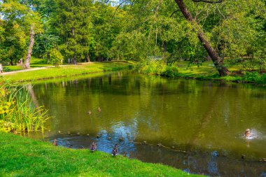 Varşova, Poland.IMAGE 'deki Lazienki Parkı' nda göl