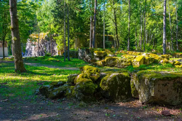 Polonya 'daki İkinci Dünya Savaşı sırasında Adolf Hitler' in kullandığı kurt sığınaklarının kalıntıları.