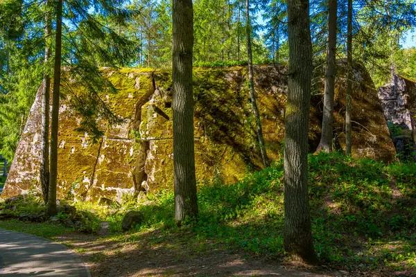 Polonya 'daki İkinci Dünya Savaşı sırasında Adolf Hitler' in kullandığı kurt sığınaklarının kalıntıları.