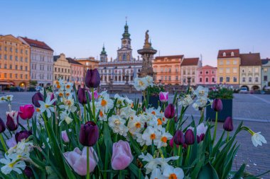 Çek Cumhuriyeti 'nin Ceske Budejovice kentindeki ana meydanın gün doğumu manzarası.