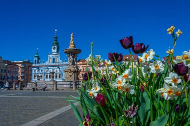 Ceske Budejovice, Çek Cumhuriyeti 'nin ana meydanı.