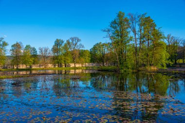 Çek Cumhuriyeti 'ndeki Cesky Krumlov şato parkında gölet.