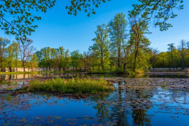 Çek Cumhuriyeti 'ndeki Cesky Krumlov şato parkında gölet.