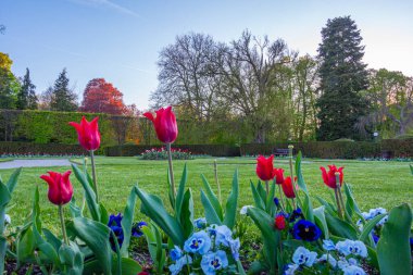 Çek Cumhuriyeti 'ndeki Cesky Krumlov şatosu parkı.