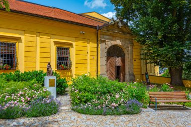 Çek Cumhuriyeti 'ndeki güzel Polna şatosunun manzarası.