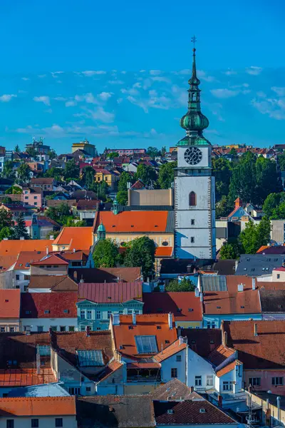Çek Cumhuriyeti 'nin eski Trebic kentinin panoraması.
