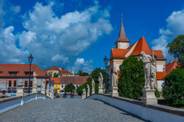 Çek Cumhuriyeti Namest nad Oslavou 'daki Barok taş köprüsü ve kutsal haç kilisesi.