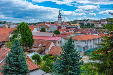 Çek Cumhuriyeti 'nin eski Trebic kentinin panoraması.