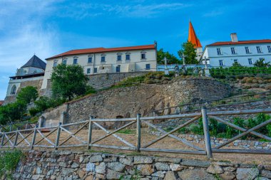 Yaz günü Znojmo 'da görülen üzüm bağları, Çek Cumhuriyeti. IMAGE
